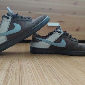 Nike Dunks Low